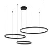 Indigo Подвесной светильник 14001/3P Black