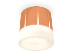 Ambrella Light Потолочный светильник XS8122010