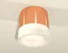 Ambrella Light Потолочный светильник XS8122010