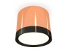 Ambrella Light Потолочный светильник XS8122001
