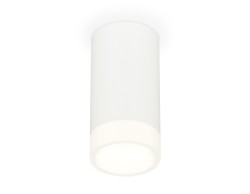 Ambrella Light Потолочный светильник XS8161002