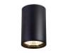 Ambrella Light Светильник потолочный Cup TN213109