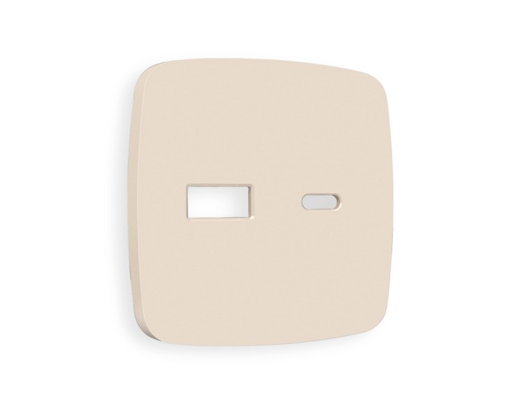 Ambrella Light Лицевая панель для розетки 2USB A+C QUANT Ambrella Volt OMEGA OP3310