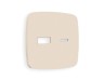 Ambrella Light Лицевая панель для розетки 2USB A+C QUANT Ambrella Volt OMEGA OP3310