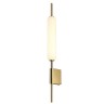 Бра ODEON LIGHT REEDS 4794/12WL
