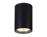 Ambrella Light Светильник потолочный Cup TN213102