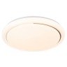 Escada 10227/SG LED*48W White APP