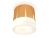 Ambrella Light Потолочный светильник XS8121010