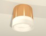 Ambrella Light Потолочный светильник XS8121010