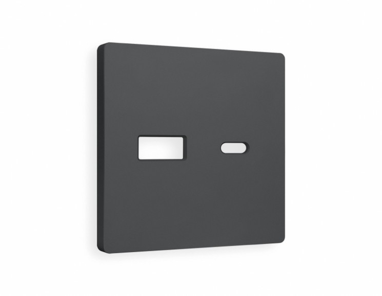 Ambrella Light Лицевая панель для розетки 2USB тип A+C QUANT Ambrella Volt ALFA AP9110