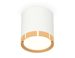 Ambrella Light Потолочный светильник XS8141004