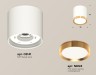 Ambrella Light Потолочный светильник XS8141004