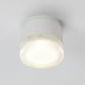 Уличный потолочный светильник Arte Lamp PIAUTOS
