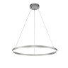 Indigo Подвесной светильник 14001/1P Silver