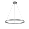 Indigo Подвесной светильник 14001/1P Silver
