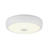 Citilux Фостер-3 CL706320 LED Светильник с диммером Белый