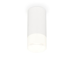 Ambrella Light Потолочный светильник XS8161003