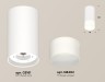 Ambrella Light Потолочный светильник XS8161003